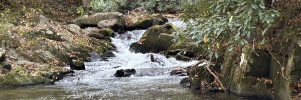 JeffGordonWDRB Profile Banner