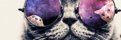Steffienyy's profile banner image
