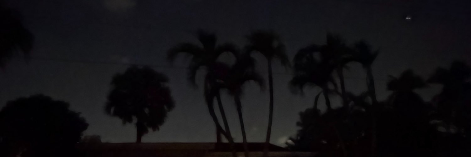 joellarosa's profile banner image