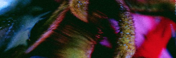 ccl_url Profile Banner