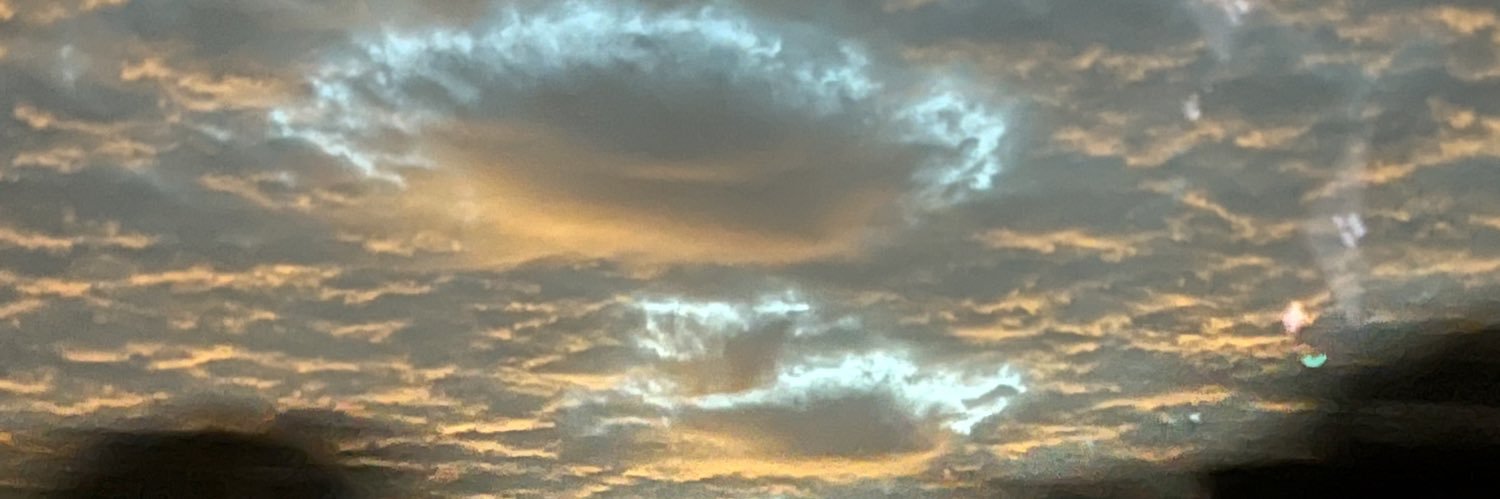 Jamie Lesane banner