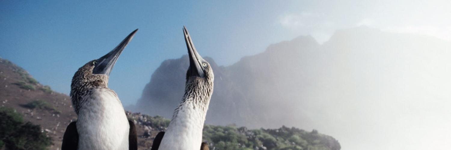 timcoates's profile banner image