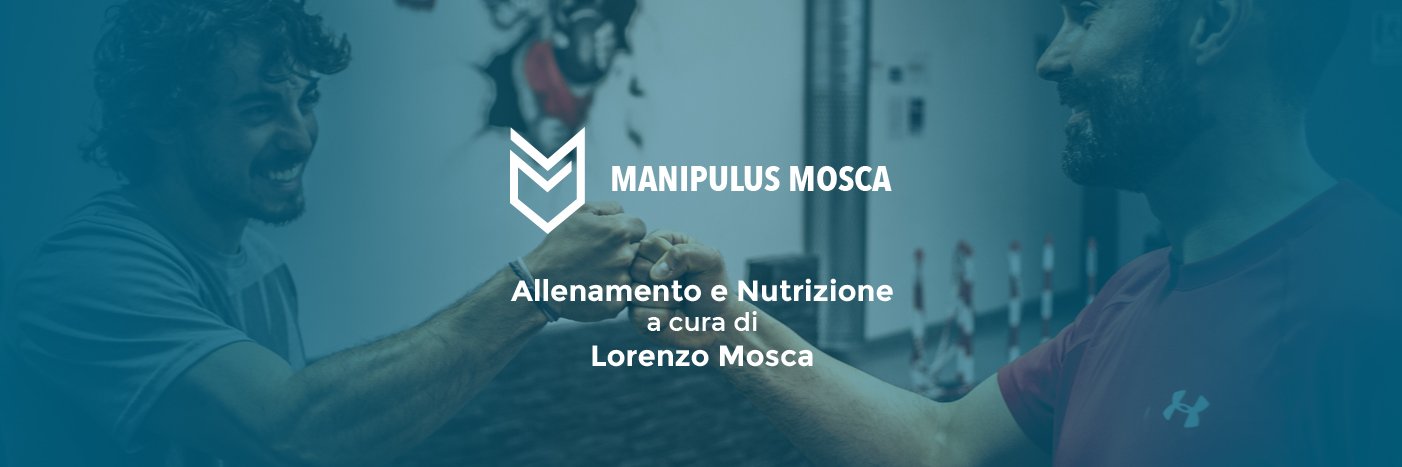 ManipulusMosca's profile banner image