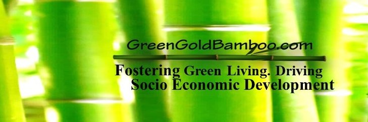 GreenGoldBamboo's profile banner image