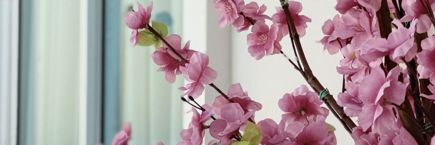 GOChannel14's profile banner image