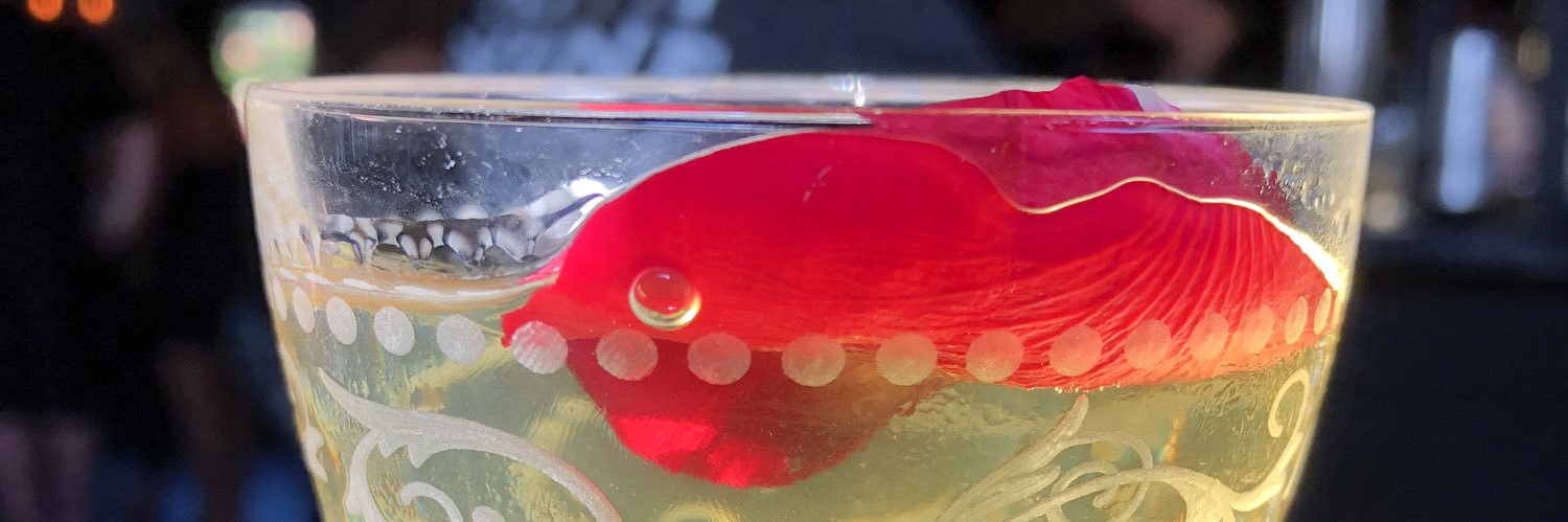 🌻 🌻🇺🇸🇺🇳🇺🇦🏳️‍🌈🇵🇸🌻 🌻 banner