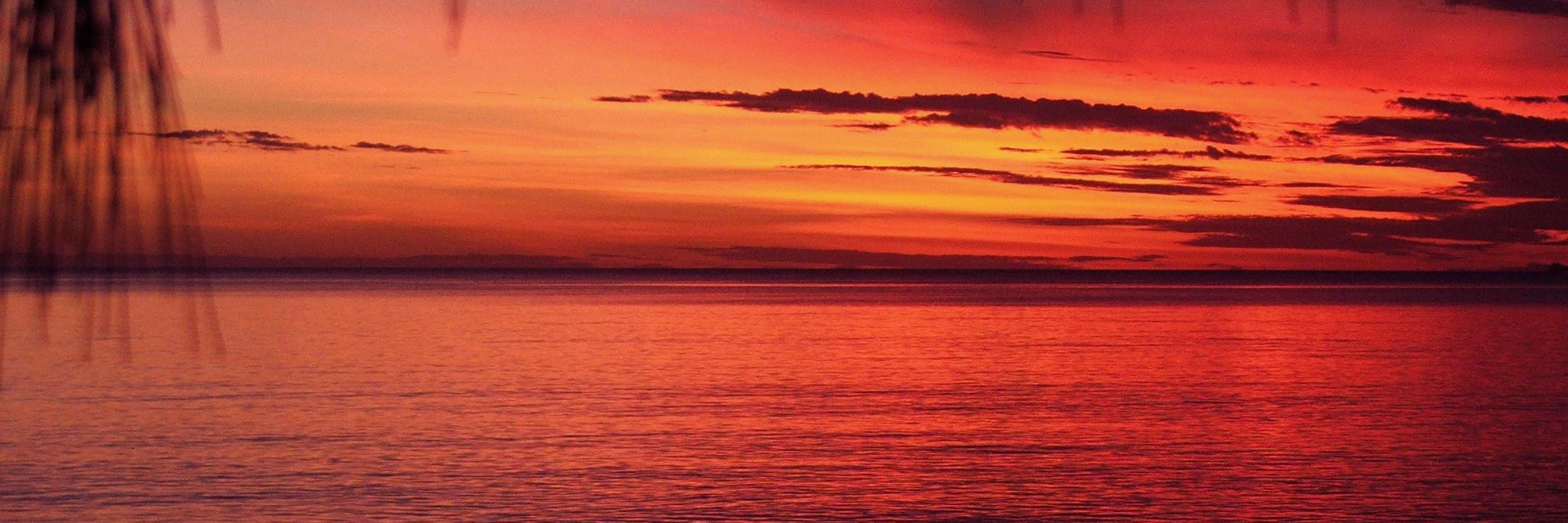 plaoureux's profile banner image