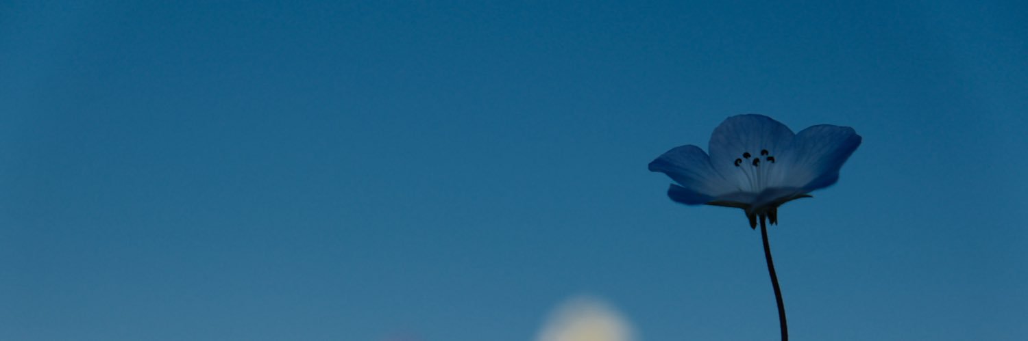 絶望的幸福 banner