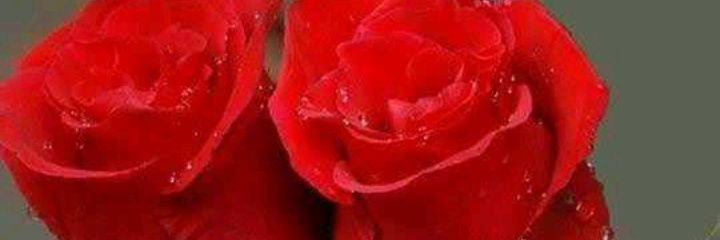 f0852589's profile banner image