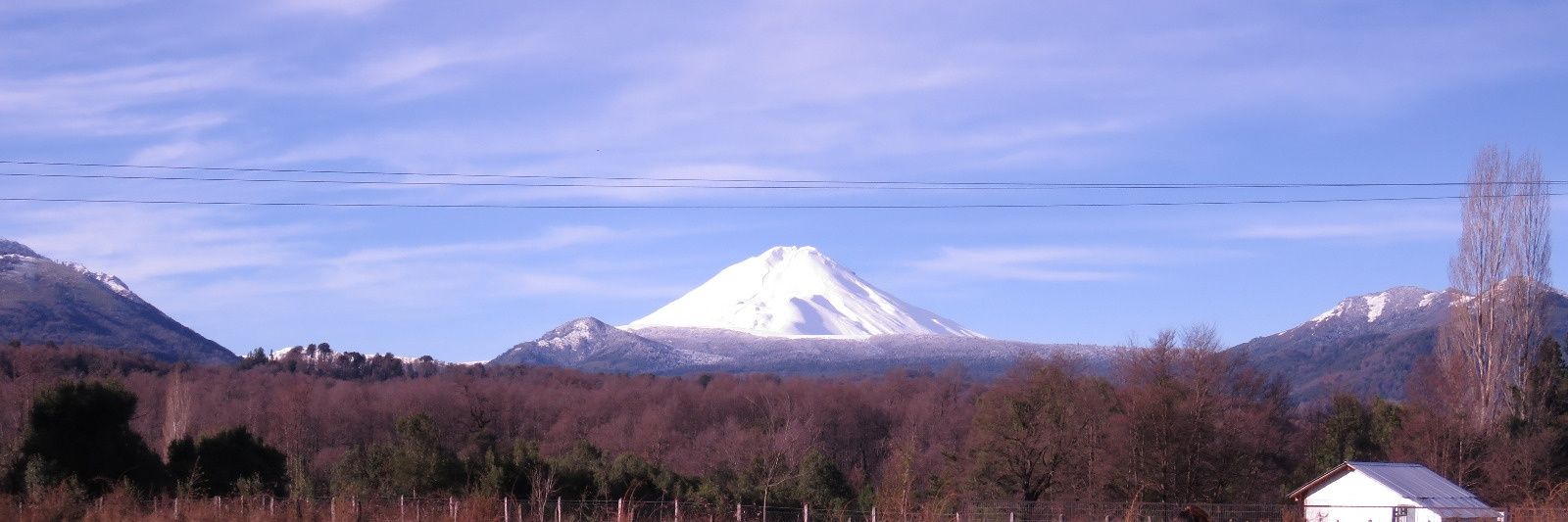 polcaC's profile banner image