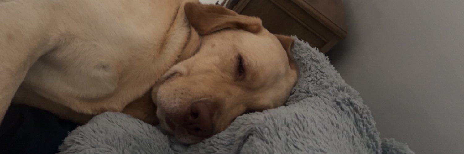 LeaTnnr's profile banner image