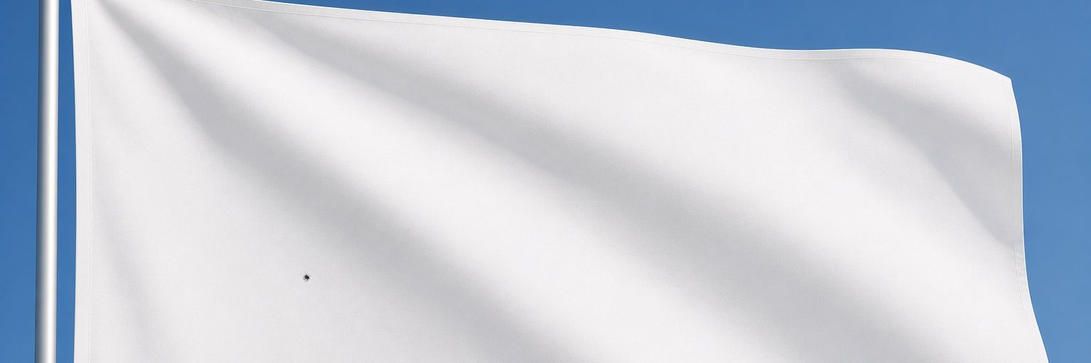scrigna17's profile banner image