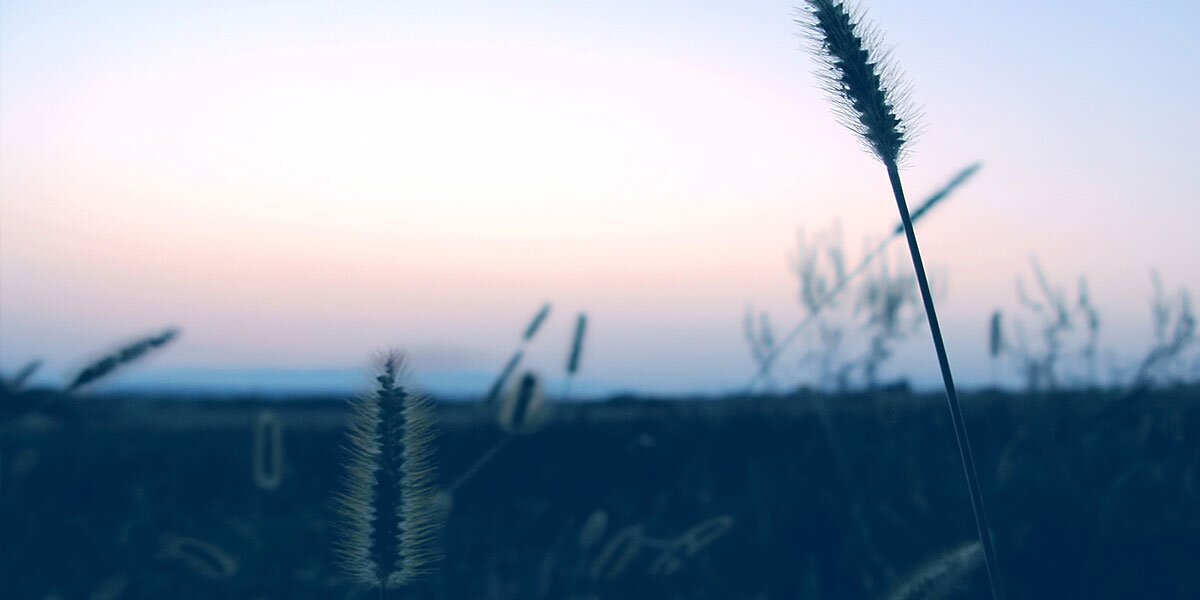 LonestarGEEK's profile banner image