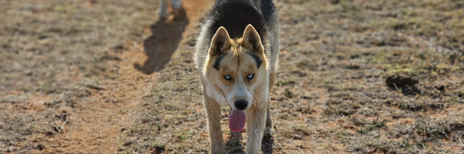 KayGeeCrazy's profile banner image