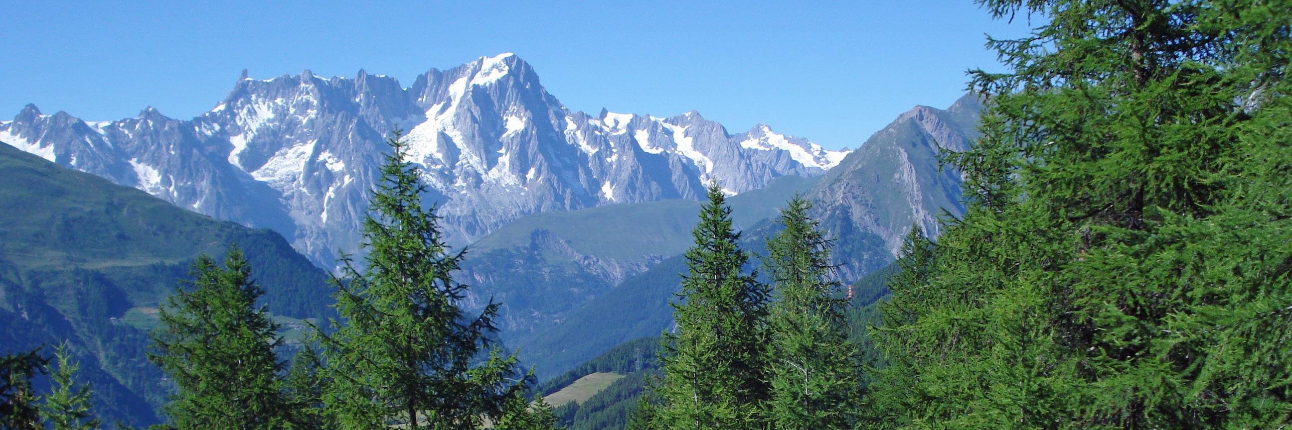 Pier Carlo Sommo banner