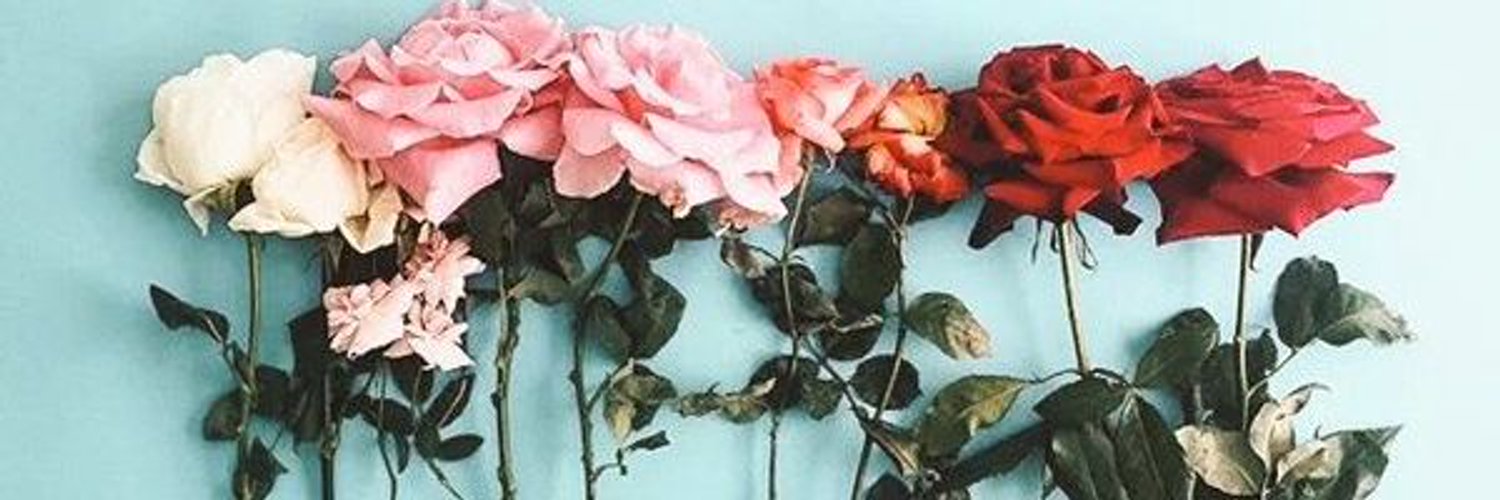 Fareda_Salman's profile banner image