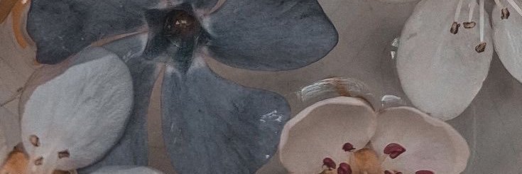 laramix02's profile banner image