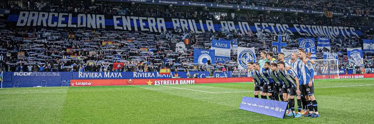 salvi sanchez banner