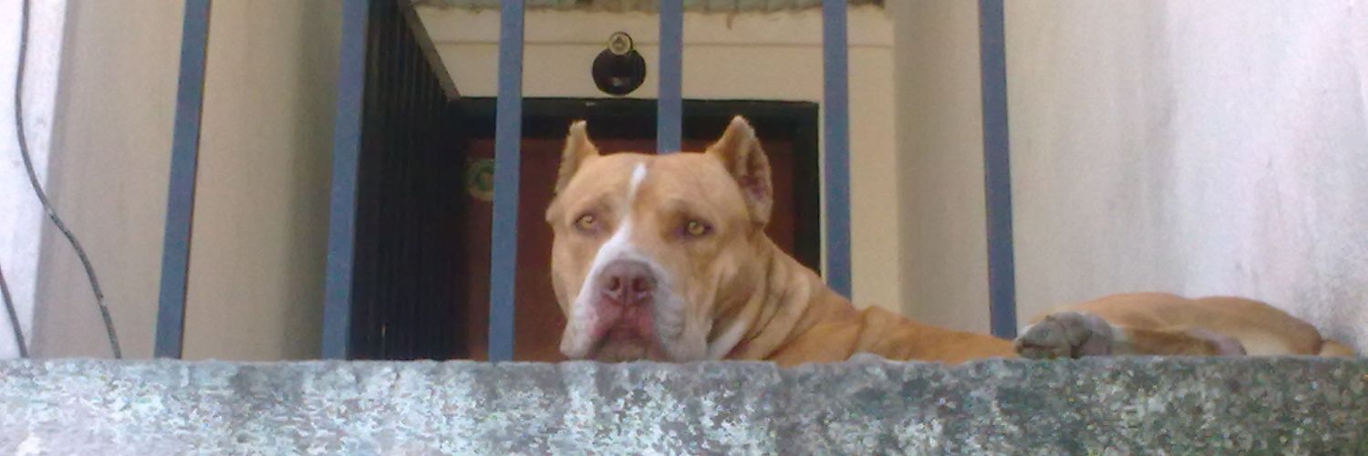 Marlon Romero banner