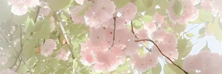 pinkwispyy's profile banner image