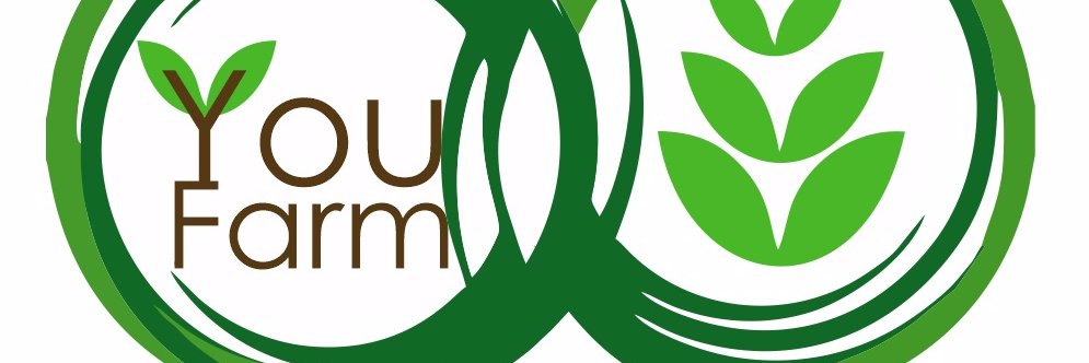 jpmatenga's profile banner image