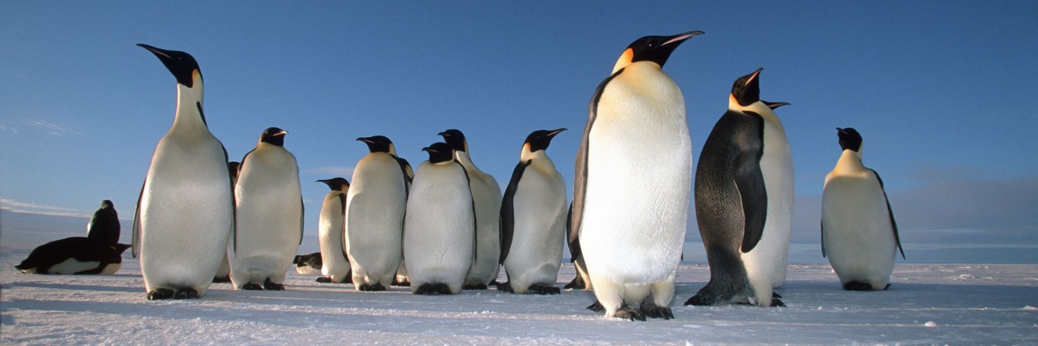 TheReaderPenguin📚🐧's banner