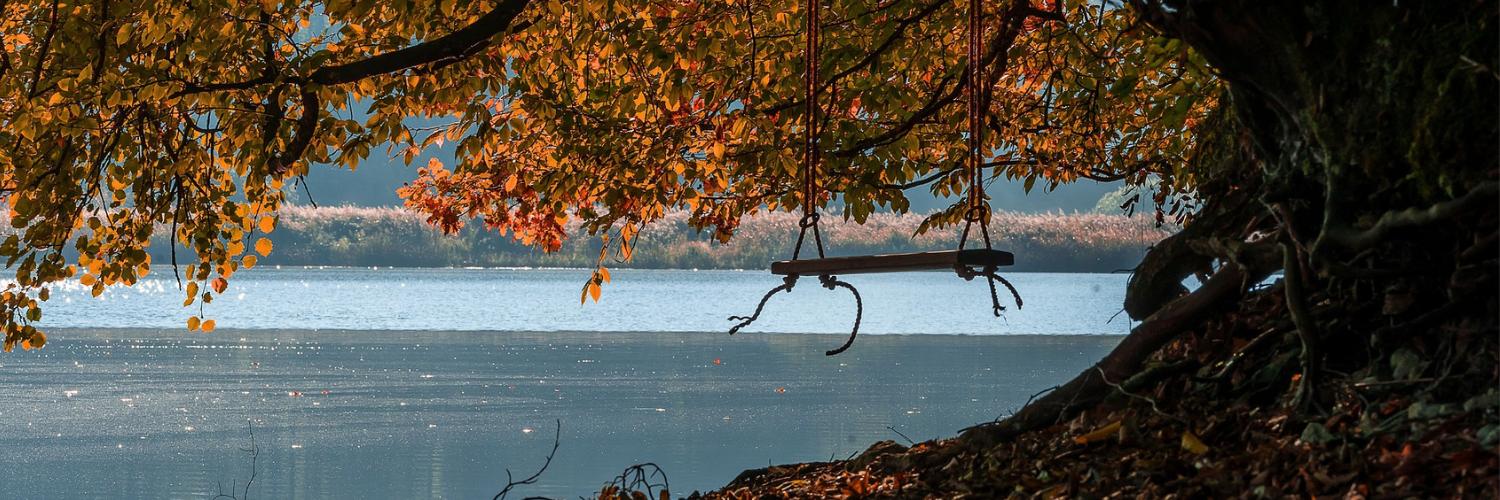 DebraTorresBook's profile banner image