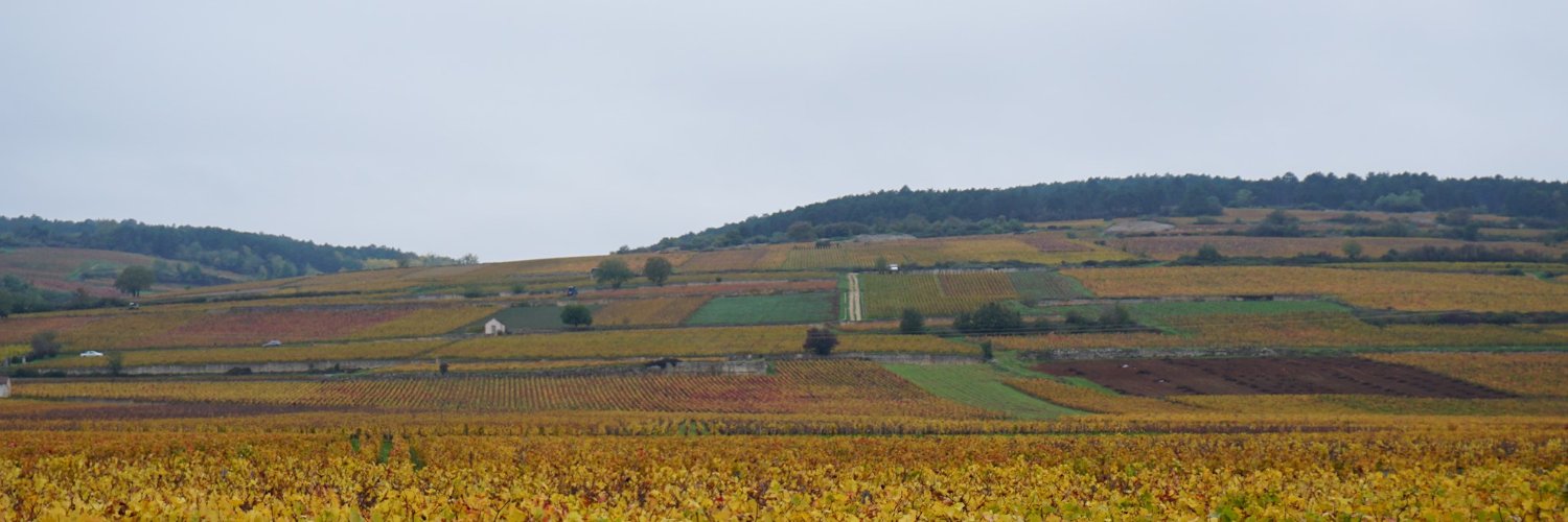 tom_carel's profile banner image