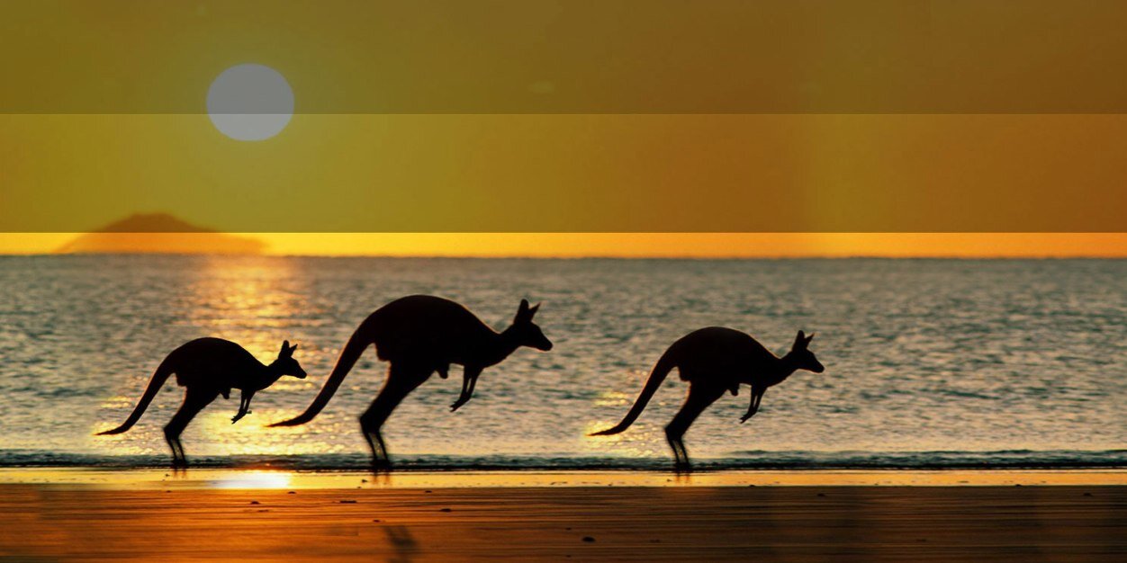 peteymchale's profile banner image