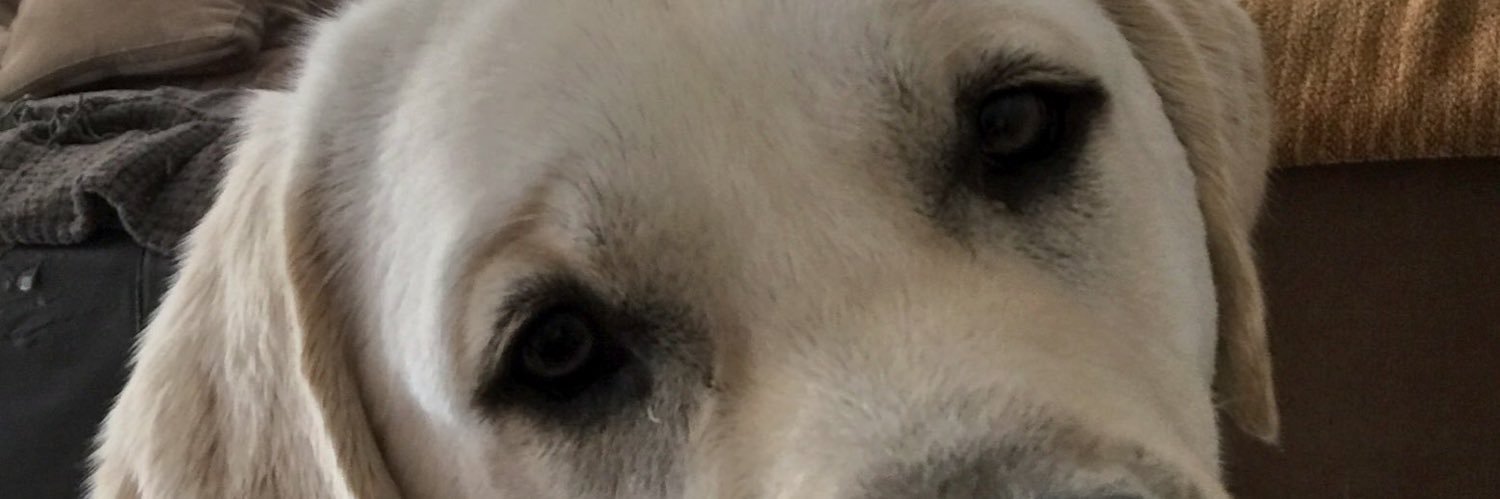 linda kristine banner
