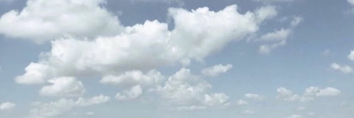 bee_hjy's profile banner image