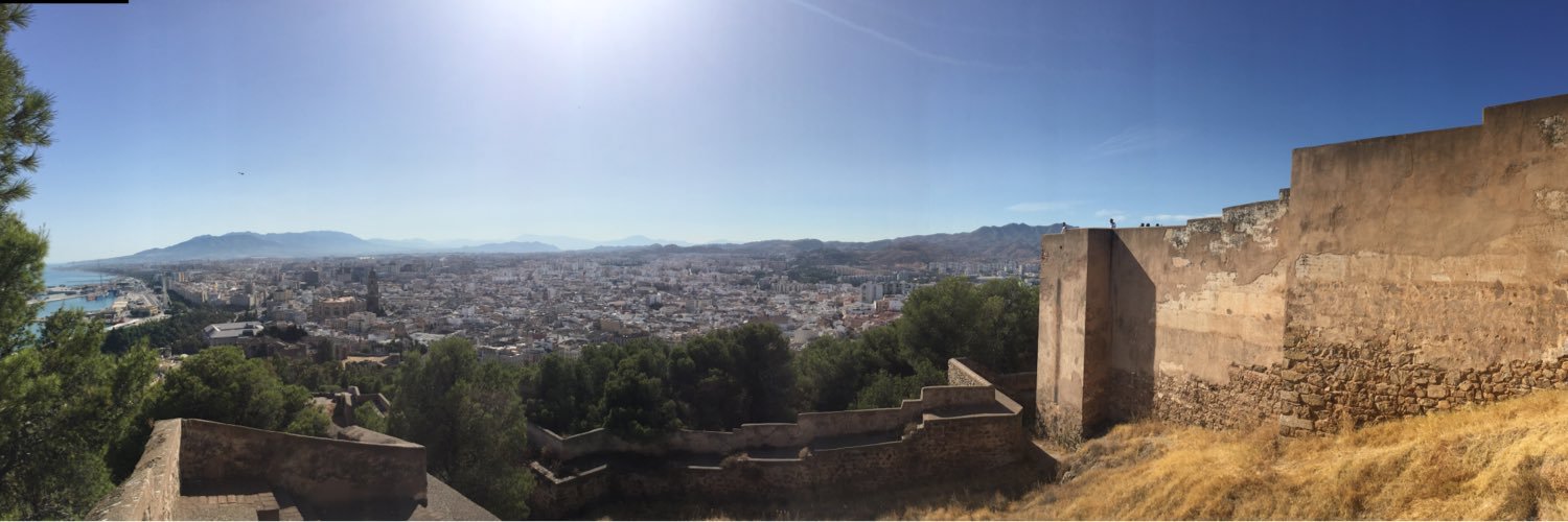 Shane McAuliffe banner