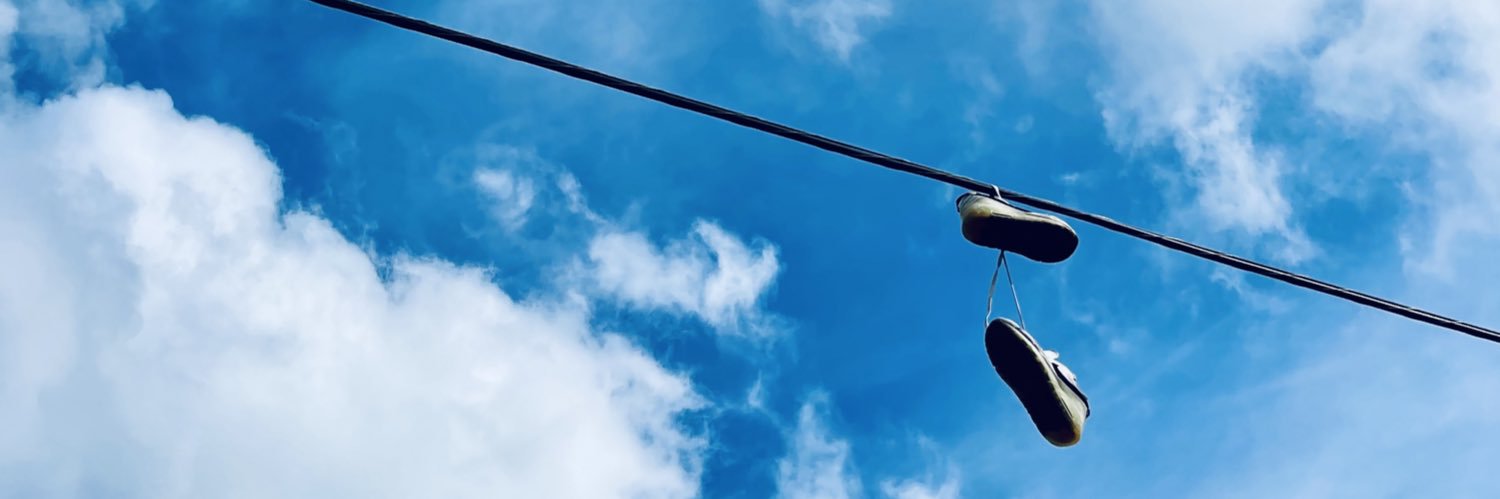 Dominique Jost banner