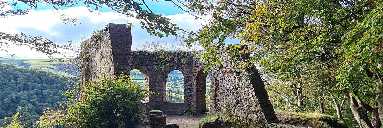 Jennifer Whitmore TD banner