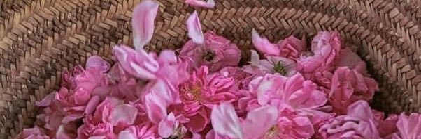 aish322's profile banner image
