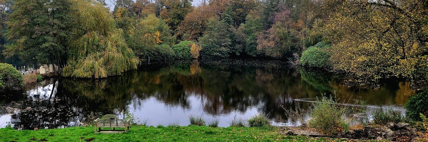 Maeni's External Memory banner