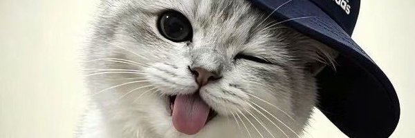 CasteelRyan's profile banner image
