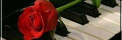 ha_alkhateeb's profile banner image