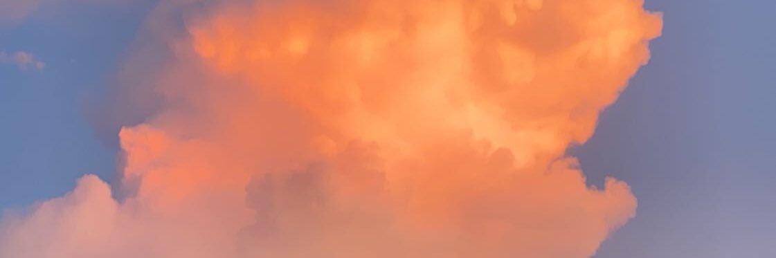 sofialosen's profile banner image