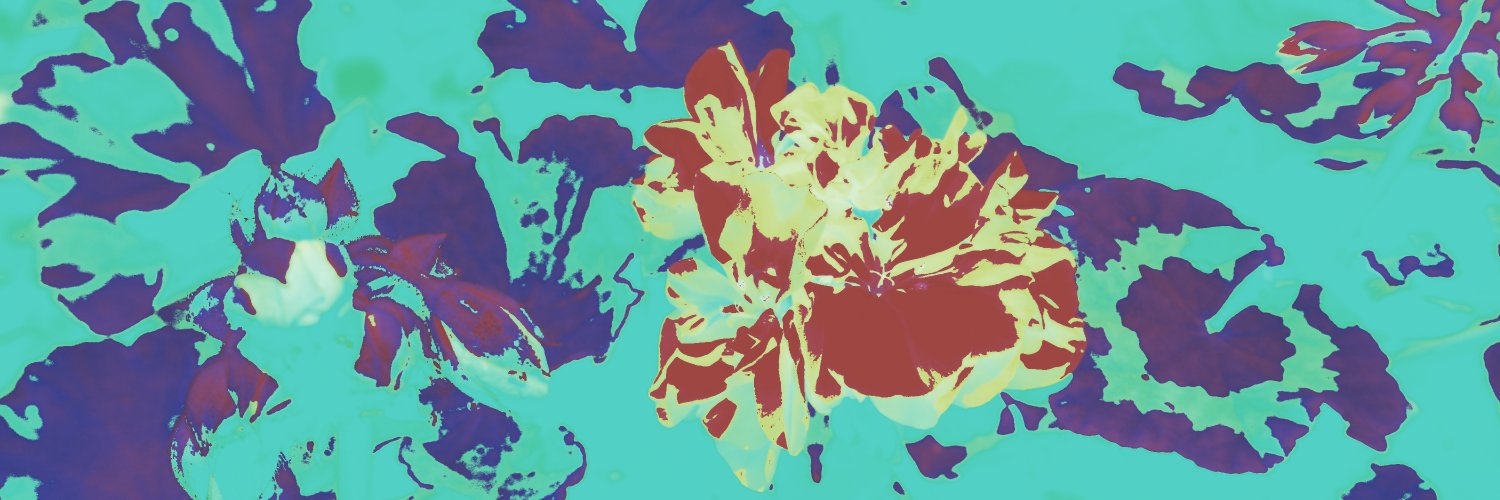 Jave banner