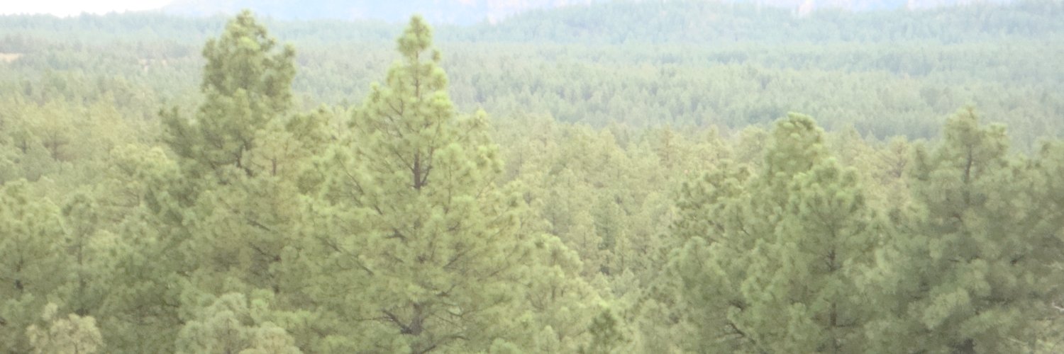 Laura Figueroa banner