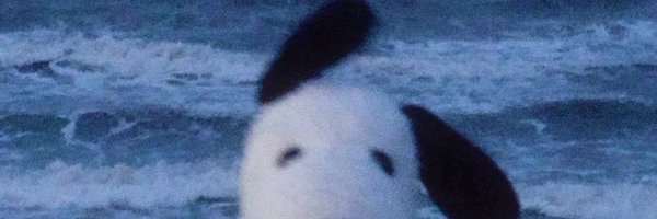MarbyNuez3 Profile Banner
