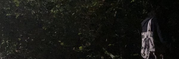 astridmeadowww Profile Banner