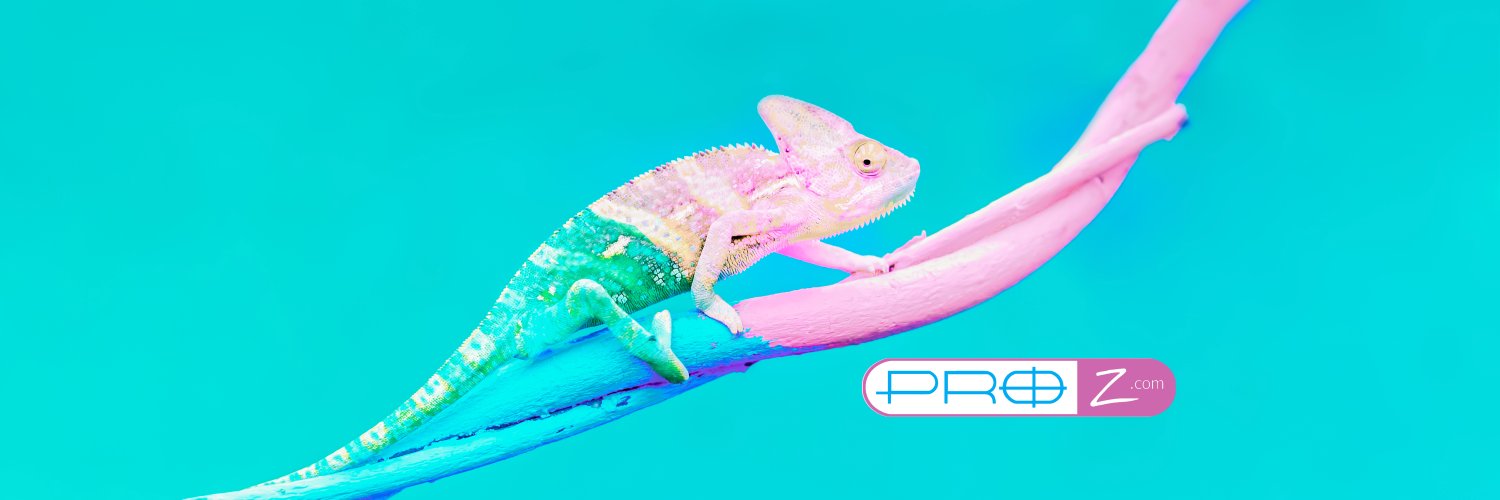 ProZ.com banner