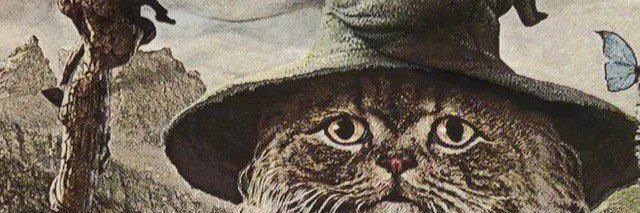 14 Century Whale 🐋 banner