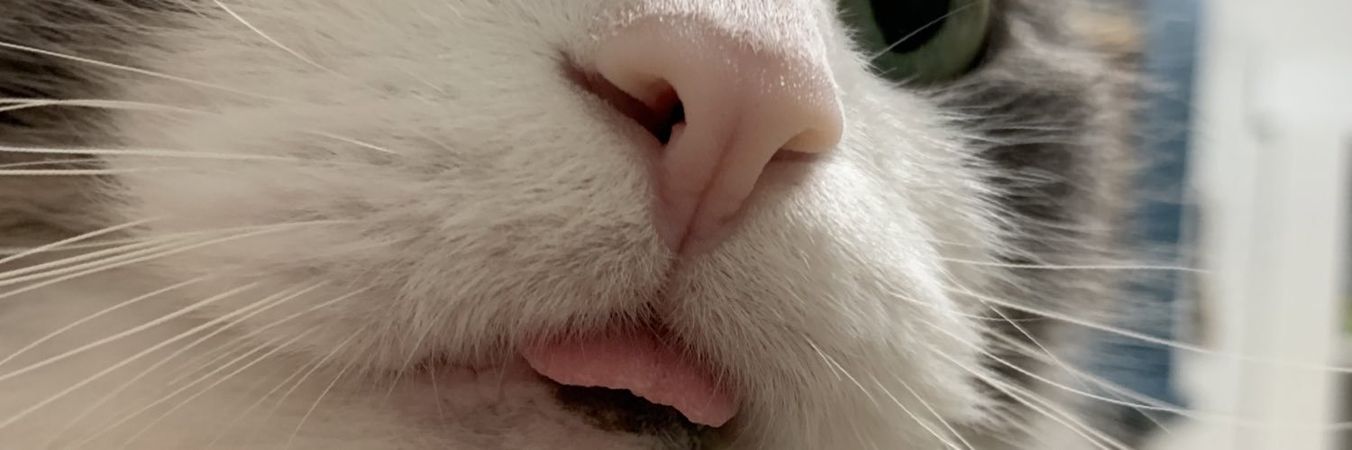 TeegeMe's profile banner image