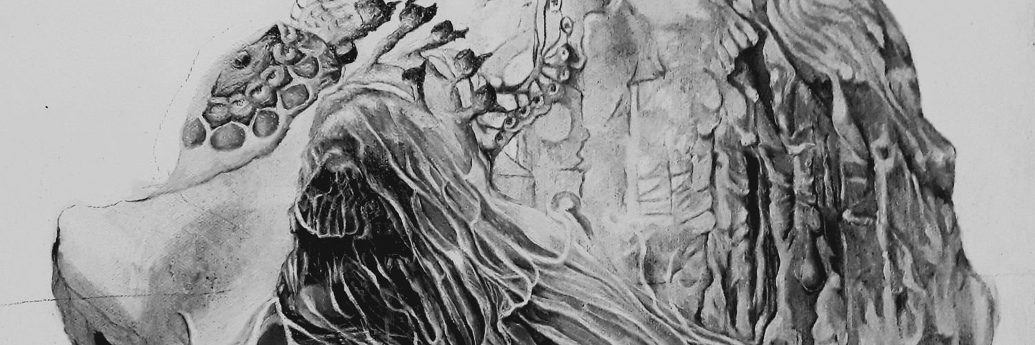 TRMegan banner