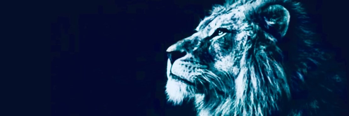 RAZPB3RRIES's profile banner image