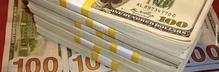 Sophia Lojan {Bitcoin Investor} banner
