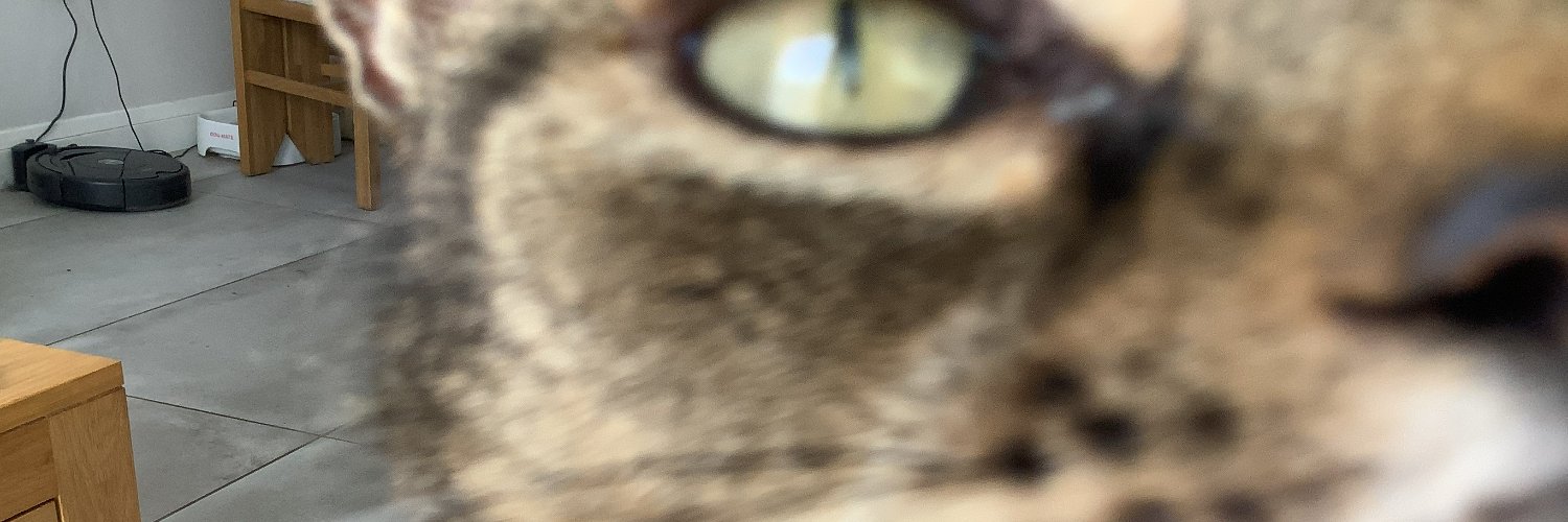 SnugglyDeb's profile banner image